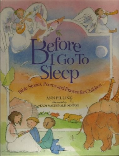 Copertina di Before I Go to Sleep
